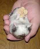 脇の下はげてますね