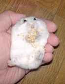 このときばかりは、何をされても平気