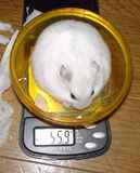 ちょっと増えました。