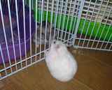 久々の接触。数ヶ月ぶりの再会です。