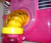 パイプにぶら下がっているアイ