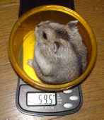 実際には、60g超えています。