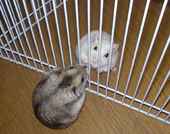 先週に引き続きのお見合い