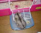 なんか、そわそわしています。