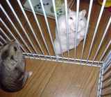 アイの表情が怖いよ～