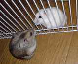 まだ、やるのか～!?