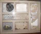 今日の巣箱の様子