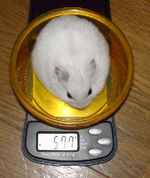 ちょっとだけ増えました