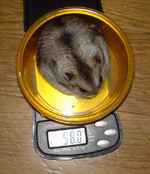 ユウキも若干増えました。