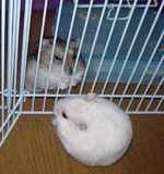 とりあえずケンカにはなりませんでした