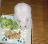 コメコメポップを頬張っているアイ。