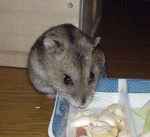 次はどれにしようかなぁ