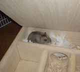 今日は、一番奥の部屋が寝床