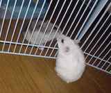 珍しく、ユウキの方から鼻先を近づけてます。