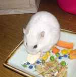 アイにも豆腐をあげています。