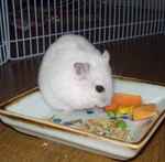 ミックスベジタブルをいただいております。