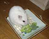 ブロッコリーに食いつくアイ