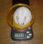 体重減ってました。