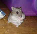 顔がデッカクなっちゃった