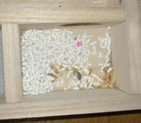 ユウキは貯蓄魔でした