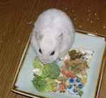 ブロッコリーもおいしく食べています。