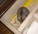 さっそく貯蓄場所に保管してました。