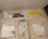 地下室に戻ってしまいました。