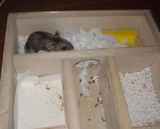 地下室の奥にいるユウキ