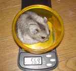 体重は少し減っていました。