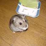 まだ、おねだりモード