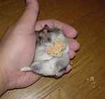 足で微妙にバランスをとっています