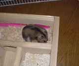 地下室の奥でホリホリしてます。