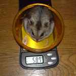 ちょっとまた増えました