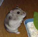 ふと顔をあげるユウキ