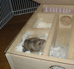 入り口の側が寝床です