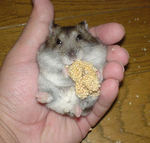 最後は、正面カメラ目線で。