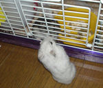 しんのすけくんとアイ