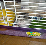 しんのすけくんは待ちぼうけ