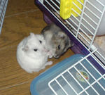 アイの目線が気になります(笑)