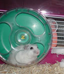 こちらに気づいたようです