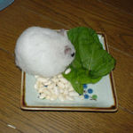 小松菜を食べているアイ