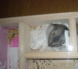 地下室で待ったり中のユウキ