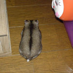 なぜか背中を向けてじっとしているユウキ