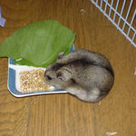 元々貯蓄していたものなんですが・・・