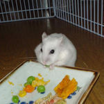 グリーンピースを食べているアイ