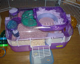 新調されたユウキのケージ