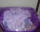 ケージの2階でティッシュに埋もれていました