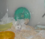 寝床から出てきたアイ