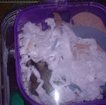 まだまだ寝続けるユウキです。