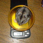 しんのすけくんは体重が上昇